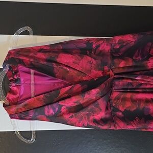 Alex Marie Fuchsia and Black Dress